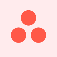 Asana AI